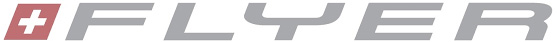 FLYER Logo